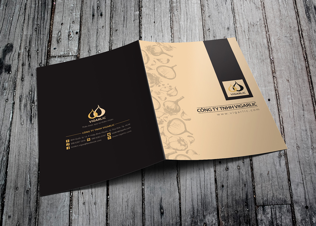 VIGARLIC - Sáng tạo mẫu thiết kế bao bì và nhận diện thương hiệu tỏi đen VIGARLIC